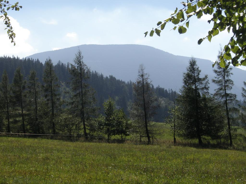 Ubytovani U Pradku Čeladná Kültér fotó